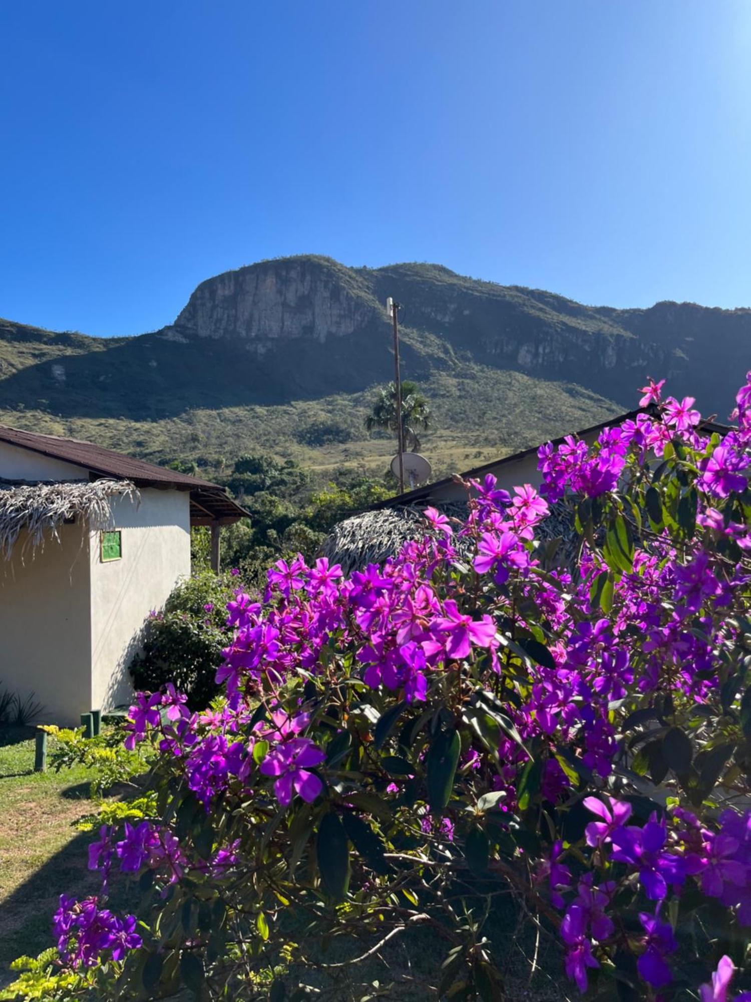 Alto Paraíso de Goiás Pousada Rancho Dos Ipes מראה חיצוני תמונה